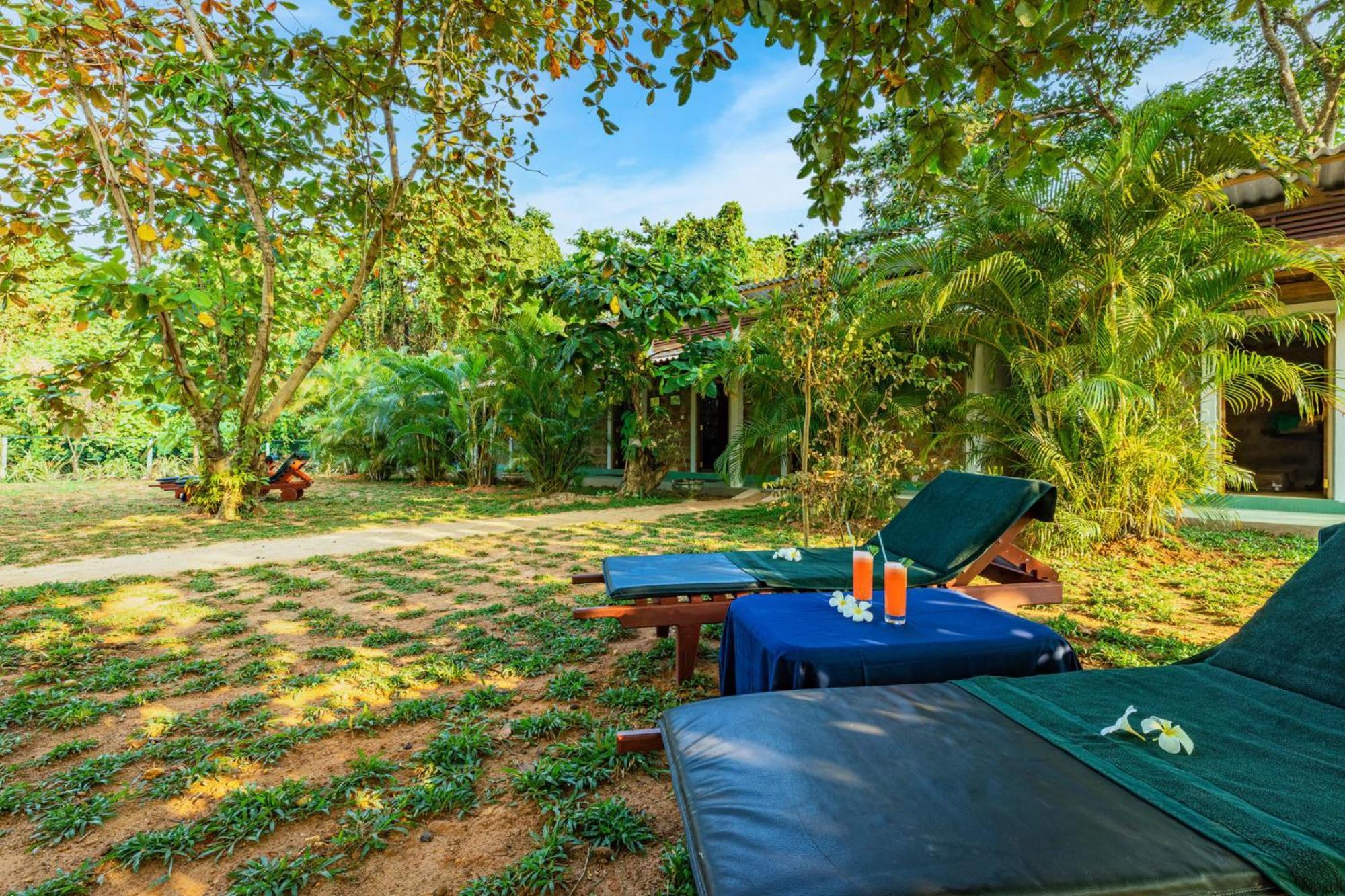 Sath Villa Naadi Ayurveda Resort Moragalla Eksteriør bilde